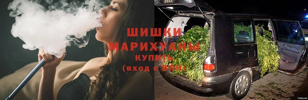 эйфоретик Вяземский