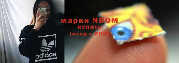 эйфоретик Вяземский
