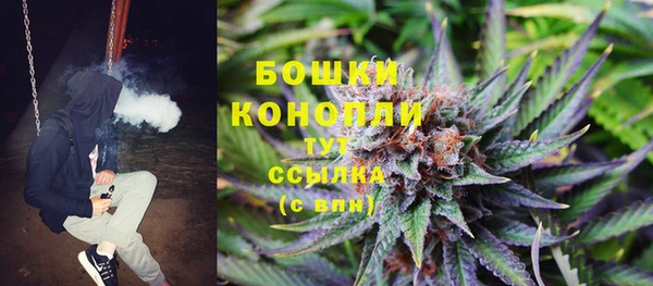 эйфоретик Вяземский