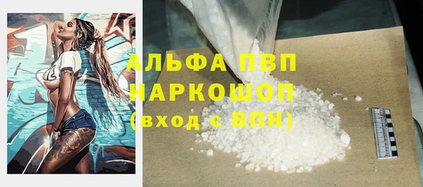 эйфоретик Вяземский